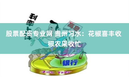 股票配资专业网 贵州习水：花椒喜丰收 椒农采收忙