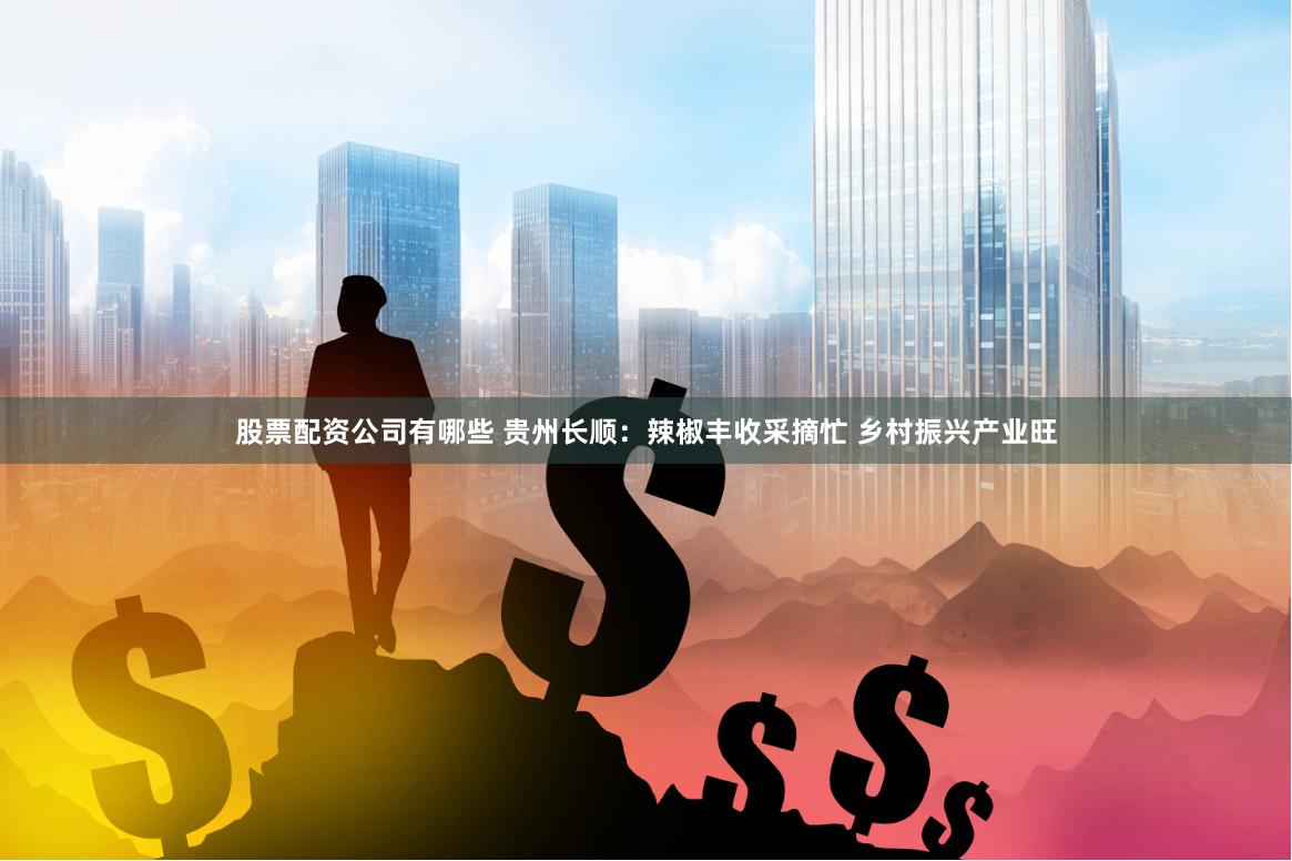 股票配资公司有哪些 贵州长顺：辣椒丰收采摘忙 乡村振兴产业旺