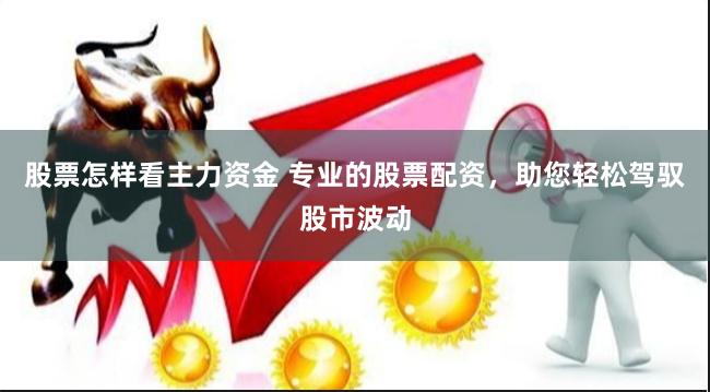 股票怎样看主力资金 专业的股票配资，助您轻松驾驭股市波动