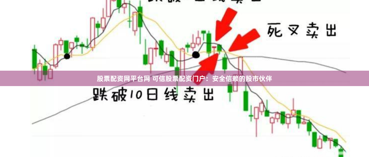 股票配资网平台网 可信股票配资门户：安全信赖的股市伙伴