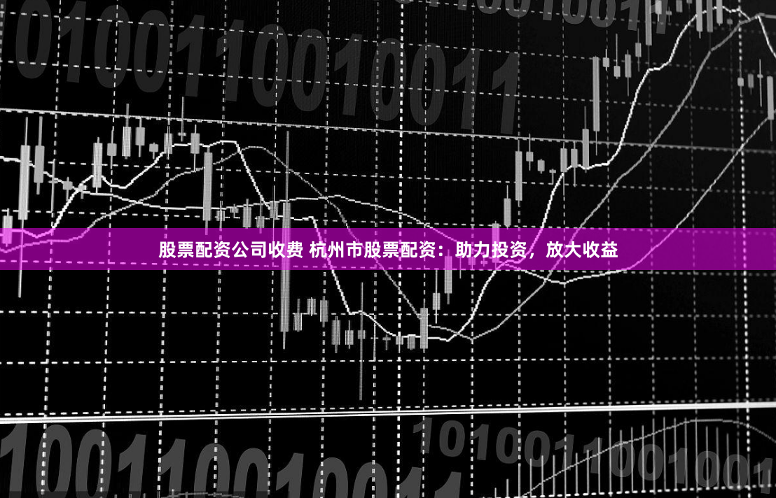 股票配资公司收费 杭州市股票配资：助力投资，放大收益