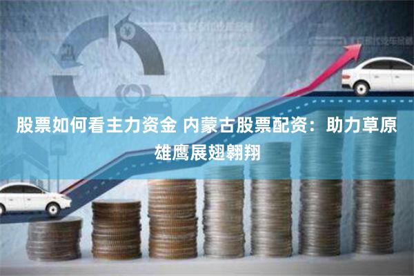 股票如何看主力资金 内蒙古股票配资:助力草原雄鹰展翅翱翔